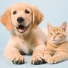 tailsofjoy79