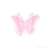 rafania_aurelia_evelin