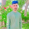 advpiyasgull