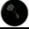 malak.alameer0