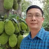 dai.duong.xanh35