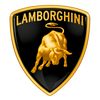 lamborghini.guy5