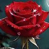 user_711608