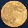 lunabv232