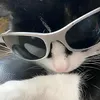 kauee_8