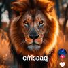 crasaaq.sanbuus.16