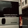 trkgzlm19
