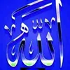 user614635023819