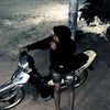 shinzu71_