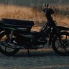 dimas.saputra6032