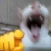 good_boy_lol1