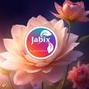 jabix.intl