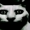 styl6667