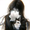 lvy_tttr1.yz