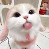 Leonar
