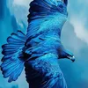 qwezxcfghjyt12345