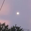 maria_25269