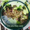 toiyeuthuysinh