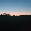 milena_yolo7
