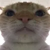 nixClips