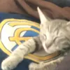ghostcod8421