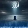 aneesanees4r