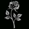 user53950876119881