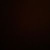 fatima.nasirlly