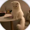 etgfhbh