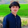 shehzad.gulli8