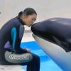 Dolphin 🐬