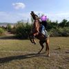 ismayil_114