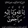 alaaalnasriy