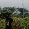 yayyaya.okee