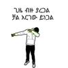 gidey.tesfay8