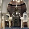 h_shirre01