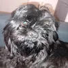 adam.bennington7