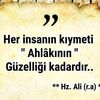 mehir.6565