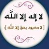 user3481392018106
