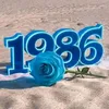 adamauto69