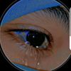 user9263425240536