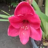 creusa0797