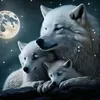 wolf284033