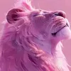 就能干二两