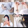 rahmaahmed12469