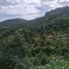 thanh.danh486