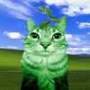 greenzazu214