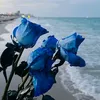 rafshia.alzaheer