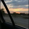 daphne_brunella.10