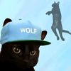 cat_lovers072